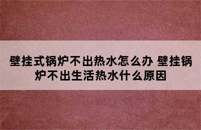 壁挂式锅炉不出热水怎么办 壁挂锅炉不出生活热水什么原因